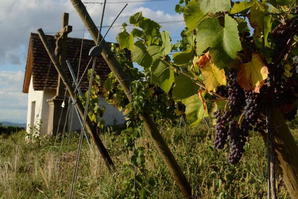 Am Weinberg - Stilvoll, Ruhig, Zum Wohlfuehlen Pfaffenweiler Exterior foto